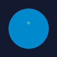 Telegram电报群支持